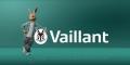 Gas Engineer Vaillant